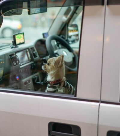 Kiberbiztonság az okosautók korában: így védd meg az autód a hackerektől!