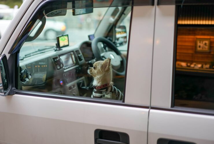 Kiberbiztonság az okosautók korában: így védd meg az autód a hackerektől!